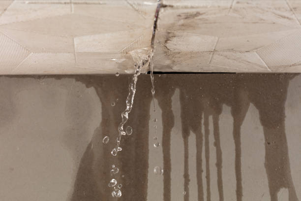 Professional Structural Drying technician working in Westfield Center, OH